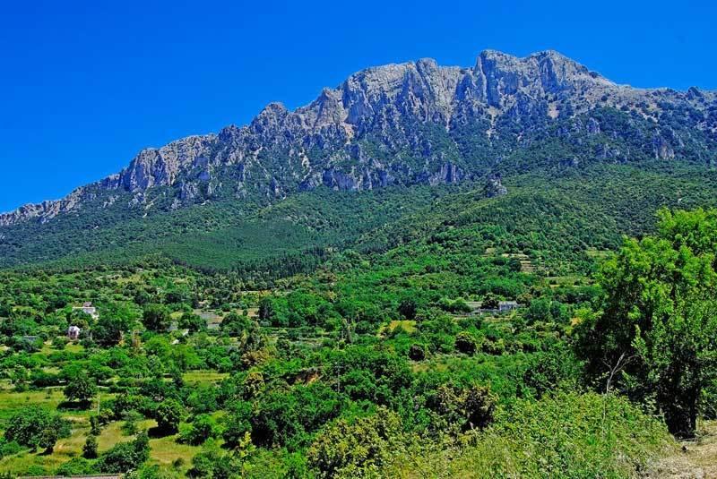 Hotel S'Enis Monte Maccione Oliena Exterior foto